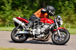https://zellphoto.se/produkt/0620/
